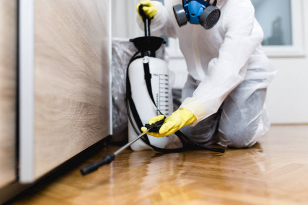 Best Ant Control Services  in Kentfield, CA