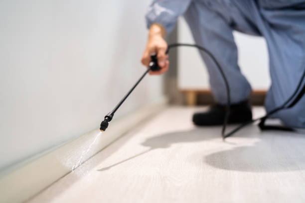 Best Pest Removal Services  in Kentfield, CA