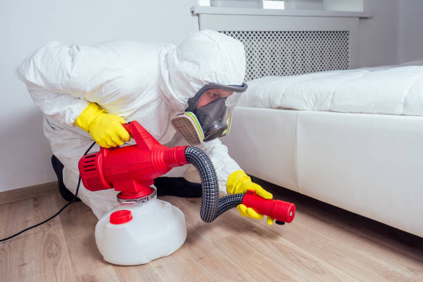 Best Mosquito Control Services  in Kentfield, CA
