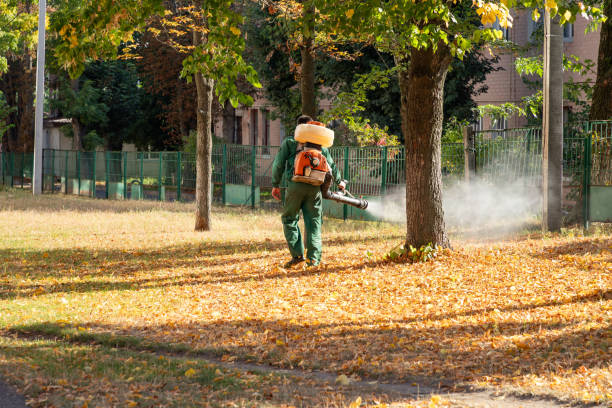 Best Spider Control Near Me  in Kentfield, CA